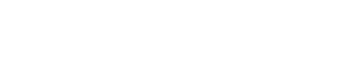 Style Travel Logo Footer